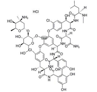 Chlorhydrate de vancomycine (1404-93-9) C66H76CL3N9O24