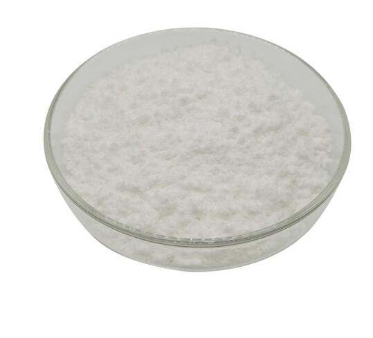 L Glutamine Poudre Pure