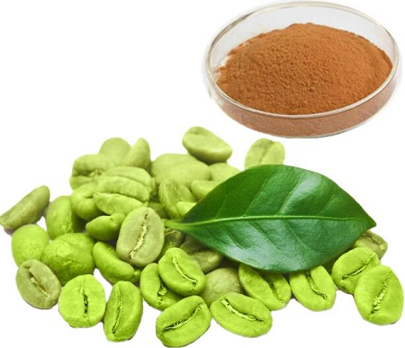 Quels aliments contiennent de l'acide chlorogénique?